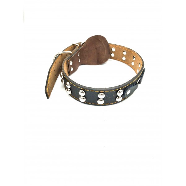 ΠΕΡΙΛΑΙΜΙΟ ΣΚΥΛΟΥ ΔΕ ΡΜΑΤΙΝΟ